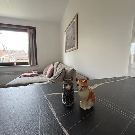 Cozy 1-bedroom Near The In T59