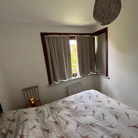 Cozy 1-bedroom Near The In T59 Apartment *