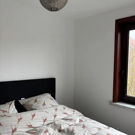 Apartment Cozy 1-bedroom Near The In T59 Ostend