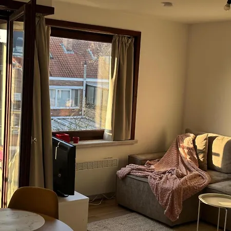 Cozy 1-bedroom Near The In T59 Apartment Ostend